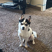 Soul joined the competition — help win amazing prizes!