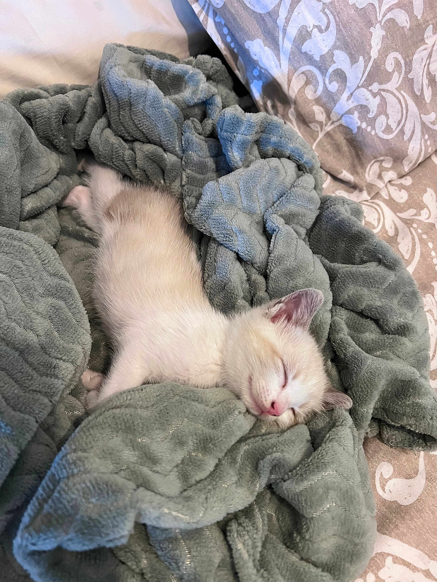 Oscar