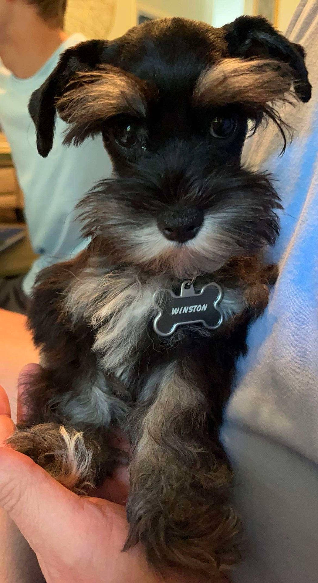 Winston