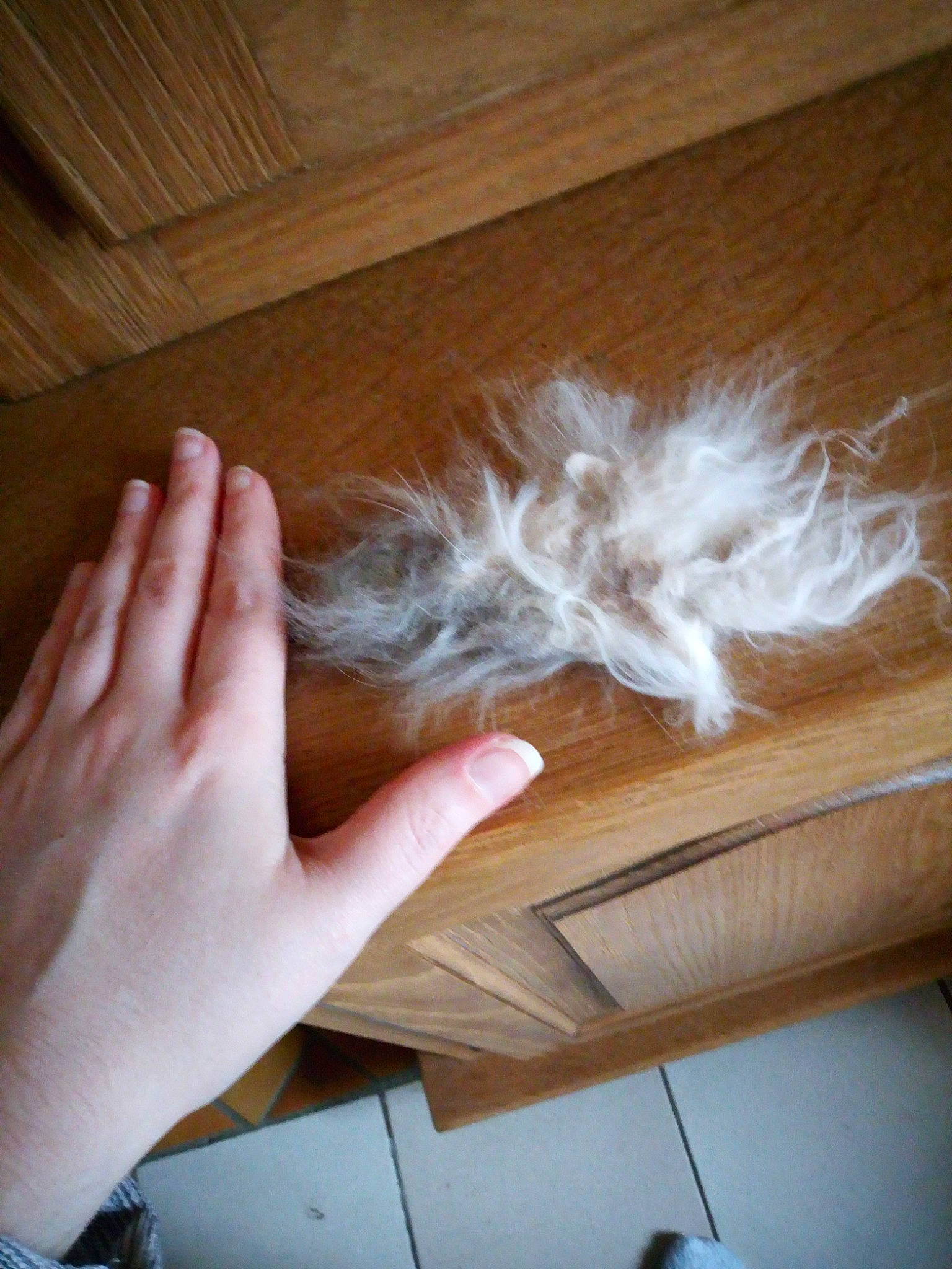 Jena a rejoint le concours — aidez-le/la à gagner de superbes lots ! ceiling, floor, flooring, hand, hardwood, plywood, wood