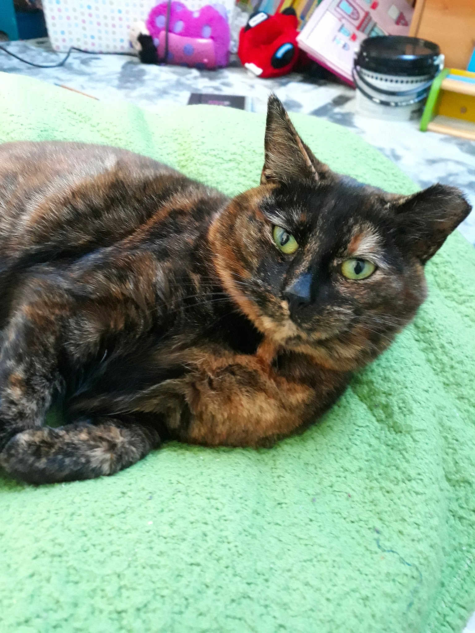 Kicia