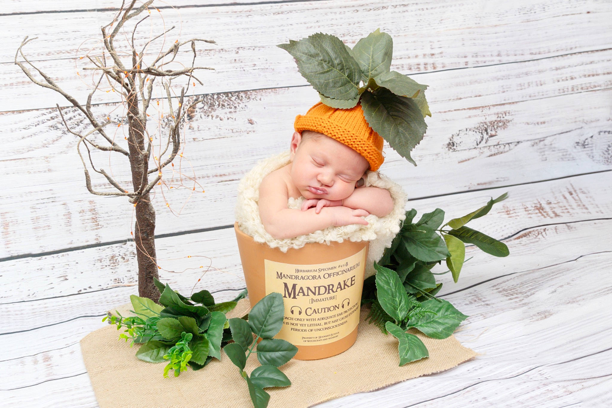 Lydia joined the competition — help win amazing prizes! baby, cut_flowers, fashion_accessory, floral_design, flower_arranging, flowering_plant, font, grass, hair_accessory, happy, headpiece, headwear, herb, leaf, people_in_nature, person, petal, plant, rectangle, smile