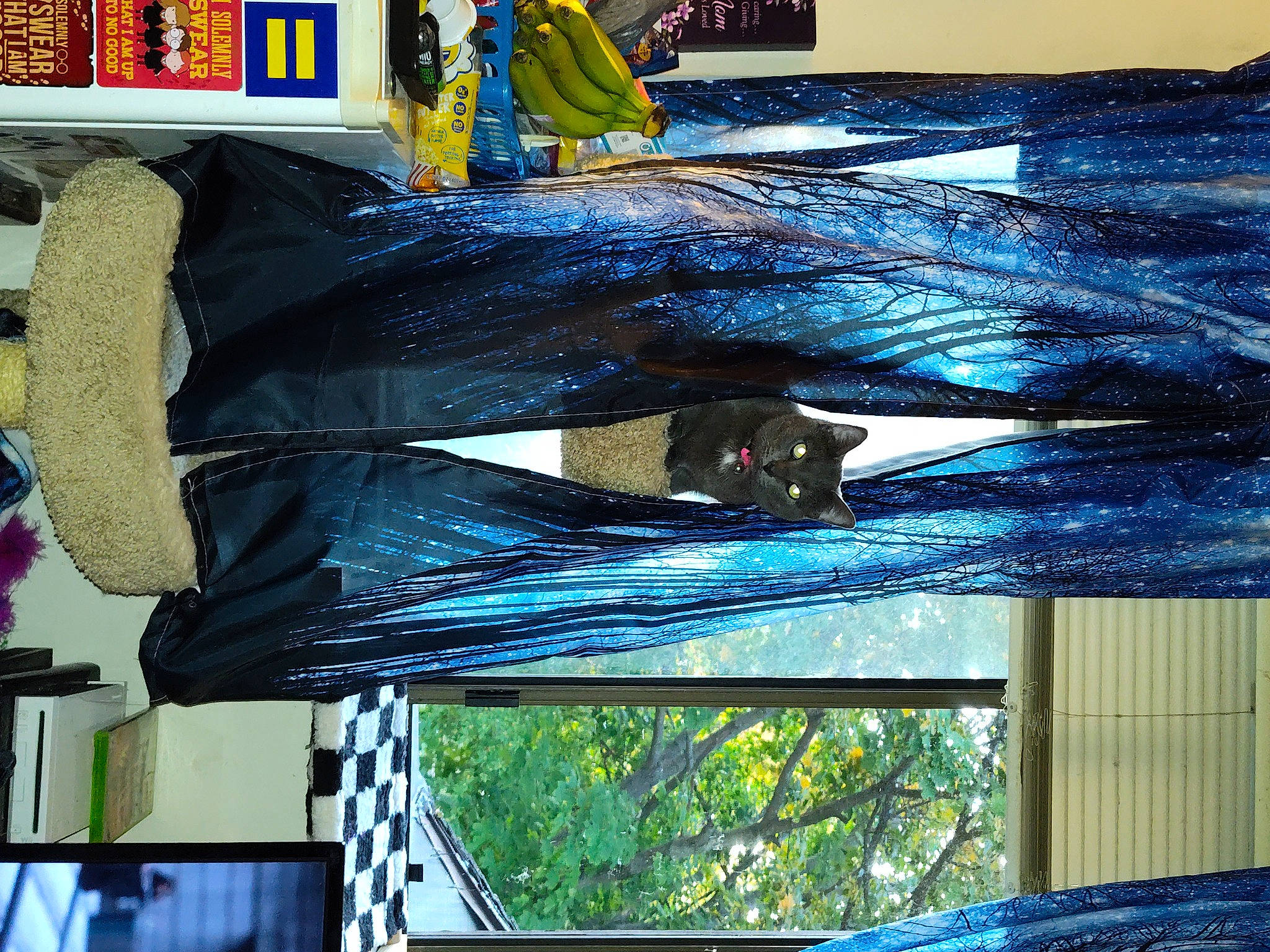 Nena is registered to the contest to win money with this photo: art, blue, electric_blue, glass, photograph, sculpture, shade, snapshot, statue, tints_and_shades, tree, visual_arts, water