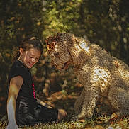 River is registered to the contest to win money with this photo: animal, autumn, black_clothing, brown, child, curly_hair, dog, forest, friendship, girl, grass, happy, leaves, nature, outdoor, pet, playful, seasonal, smile, sunlight