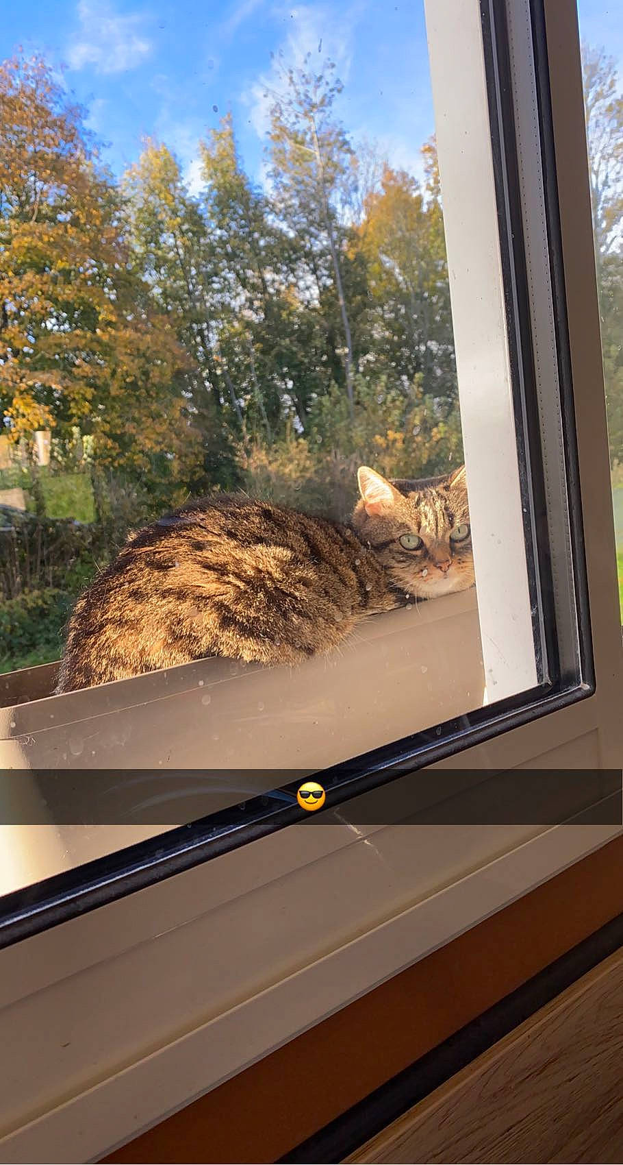 Happy participe au concours pour gagner de l'argent avec cette photo : architecture, automotive_exterior, building, glass, house, interior_design, landscape, leaf, morning, plant, property, road_surface, shade, sky, sunlight, tints_and_shades, tree, vehicle_door, window, wood