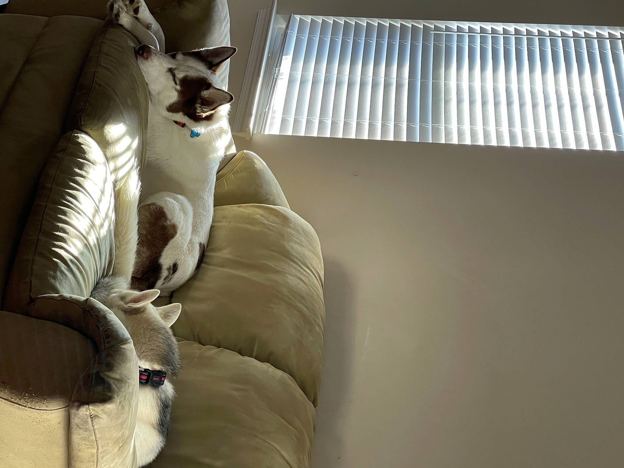 Max is registered to the contest to win money with this photo: auto_part, automotive_design, automotive_exterior, car_seat, car_seat_cover, comfort, light, linens, luxury_vehicle, metal, motor_vehicle, room, shade, textile, tints_and_shades, vehicle_door, window_covering, window_treatment, windshield, wood