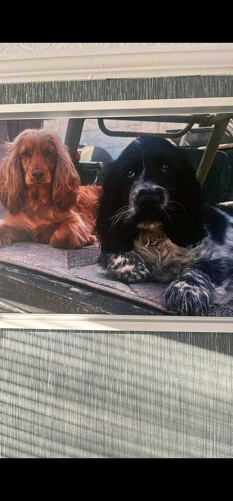 Bobby And Kallie