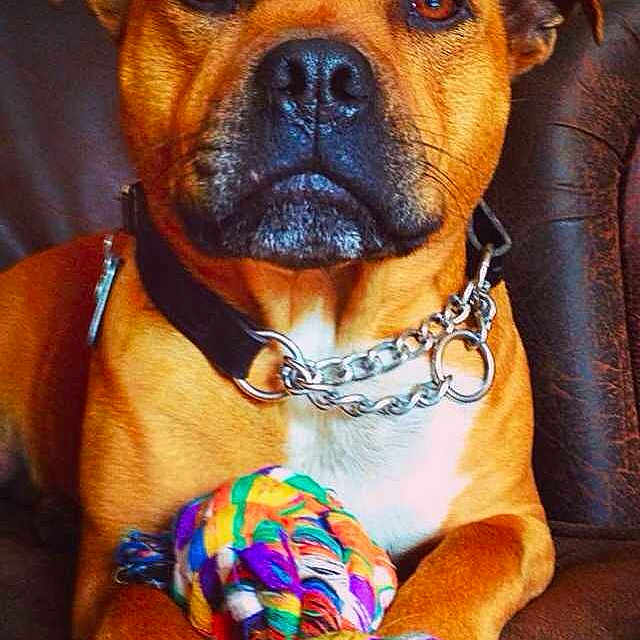 Reggie is registered to the contest to win money with this photo: