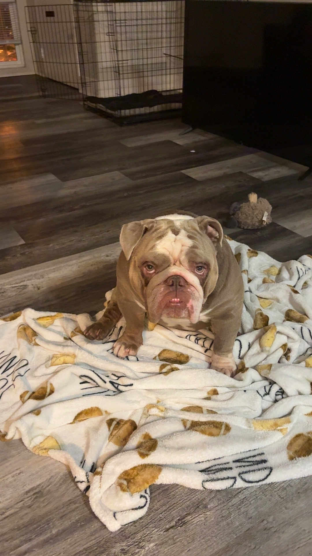 Tito