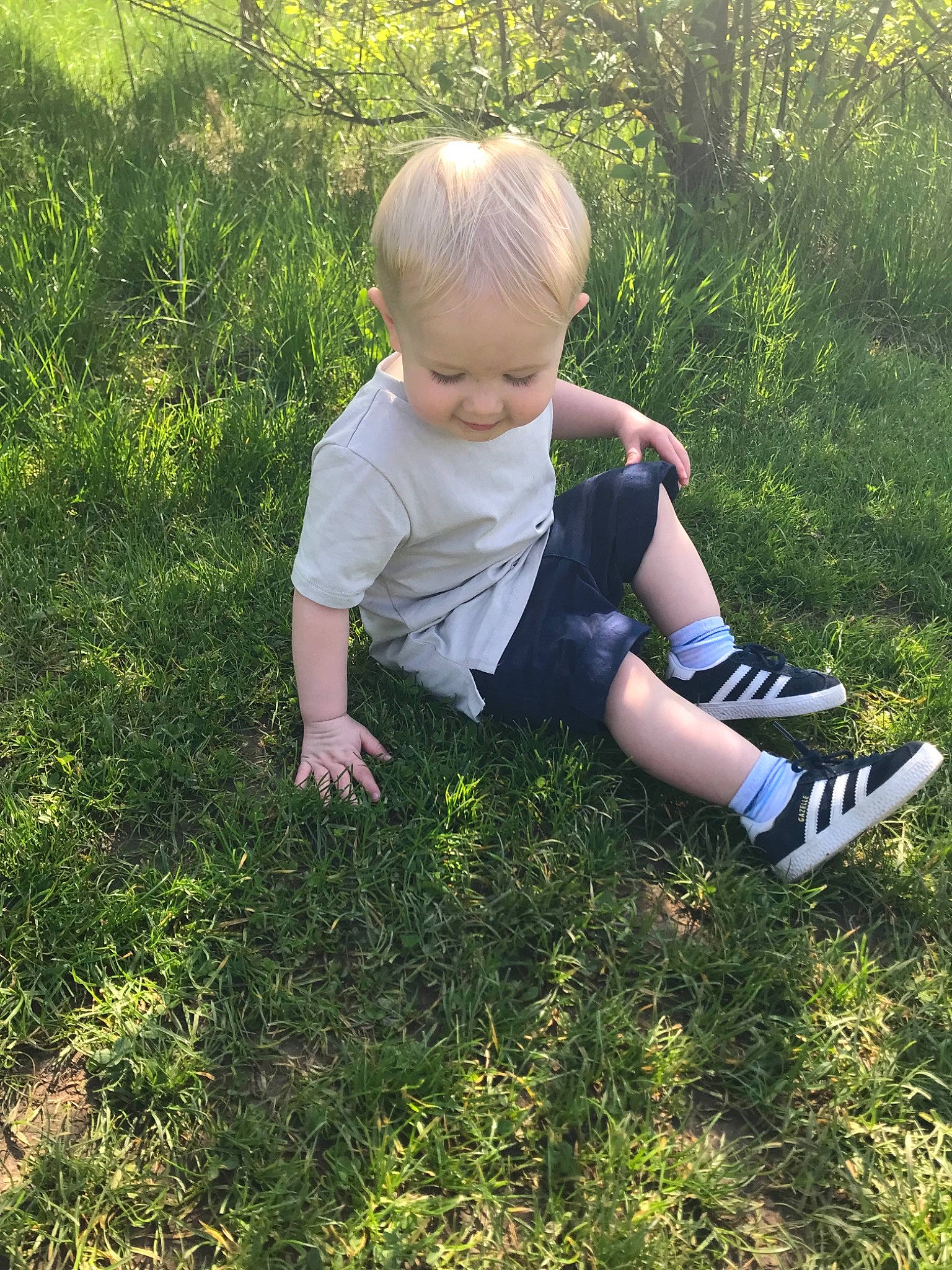 Archie is registered to the contest to win money with this photo: child, fun, garden, girl, grass, grass_family, green, happiness, infant, joy, lawn, meadow, nature, person, plant, play, sitting, spring, summer, toddler