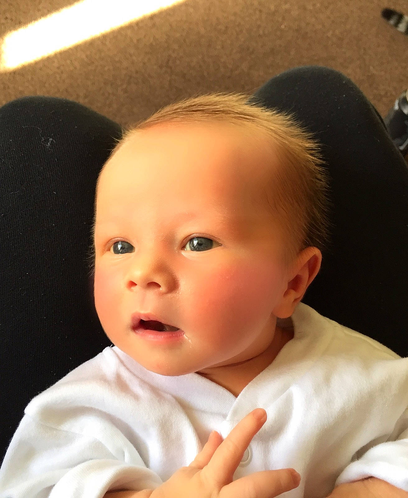 Archie joined the competition — help win amazing prizes! boy, cheek, child, chin, ear, eye, eyebrow, face, forehead, hairstyle, head, infant, lip, nose, person, skin, smile, toddler