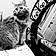 Charlie Fox