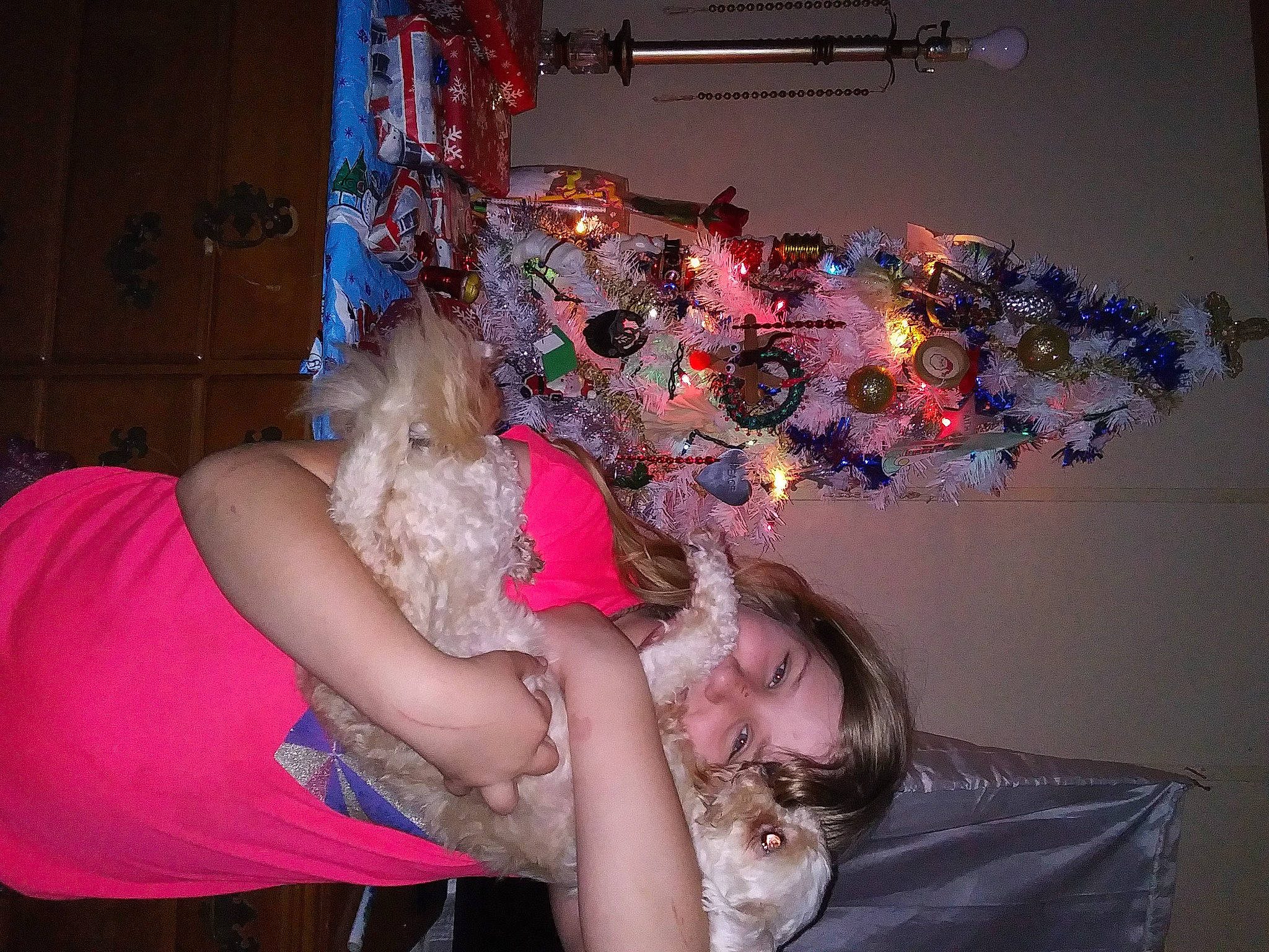 Baby Mcguire is registered to the contest to win money with this photo: christmas, christmas_decoration, christmas_eve, christmas_lights, christmas_ornament, christmas_tree, event, fun, holiday, holiday_ornament, interior_design, jewellery, lap, light, lighting, magenta, ornament, pink, purple, tree