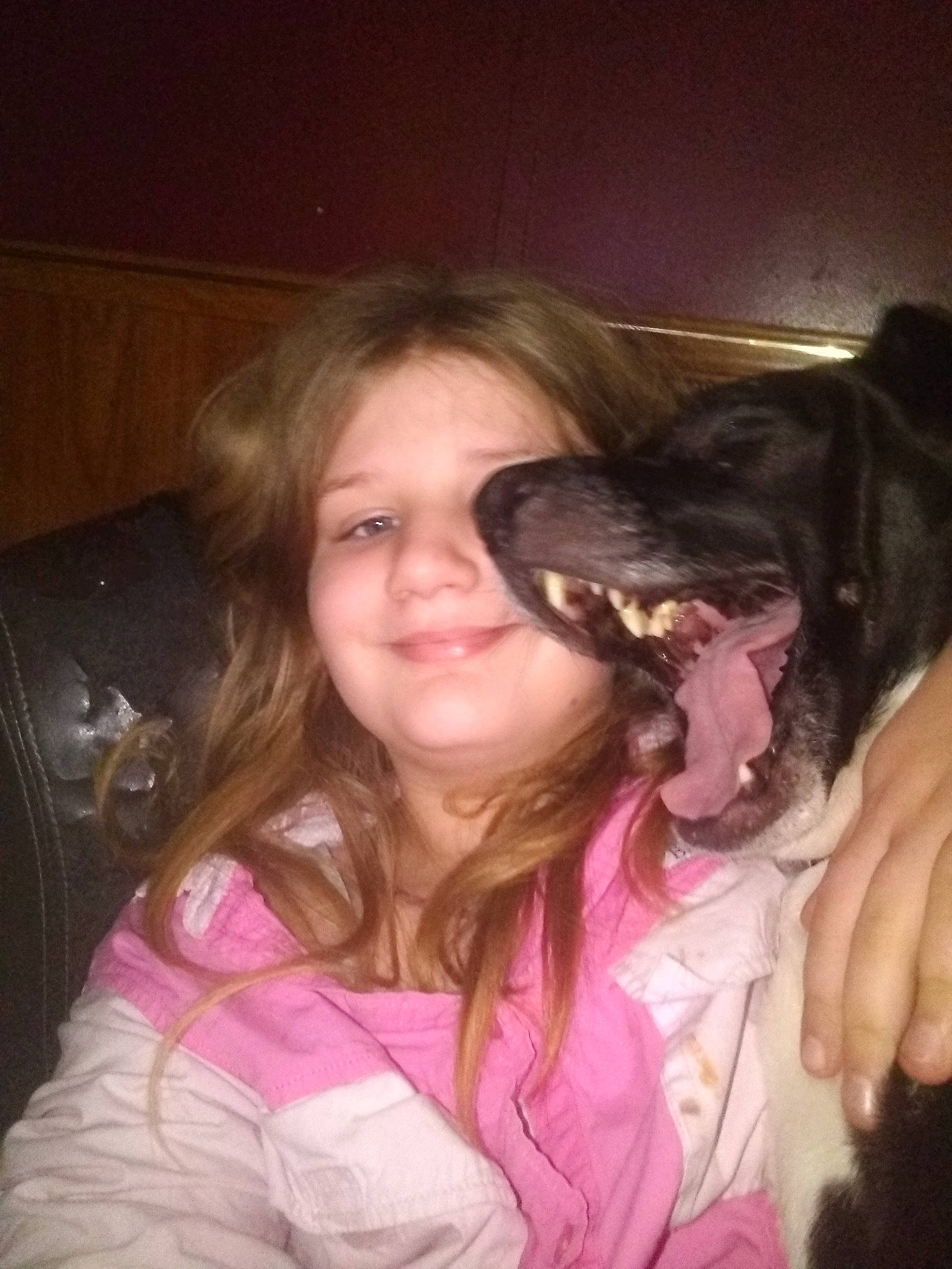 Noah Mcguire is registered to the contest to win money with this photo: carnivore, cool, dog, dog_breed, ear, eye, finger, gesture, hand, happy, head, iris, jaw, mammal, mouth, nose, organ, pink, skin, smile