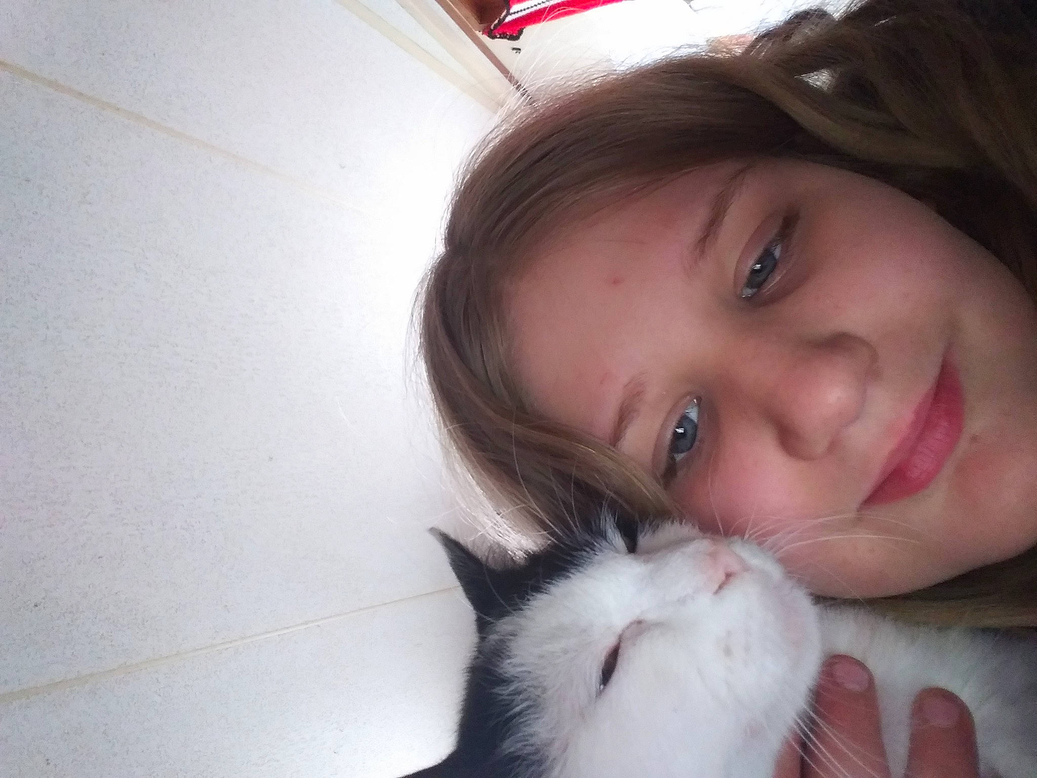 Tommy Mcguire joined the competition — help win amazing prizes! black_hair, carnivore, cat, chin, ear, eye, eyebrow, eyelash, face, happy, head, iris, jaw, lip, mouth, neck, nose, skin, smile, white