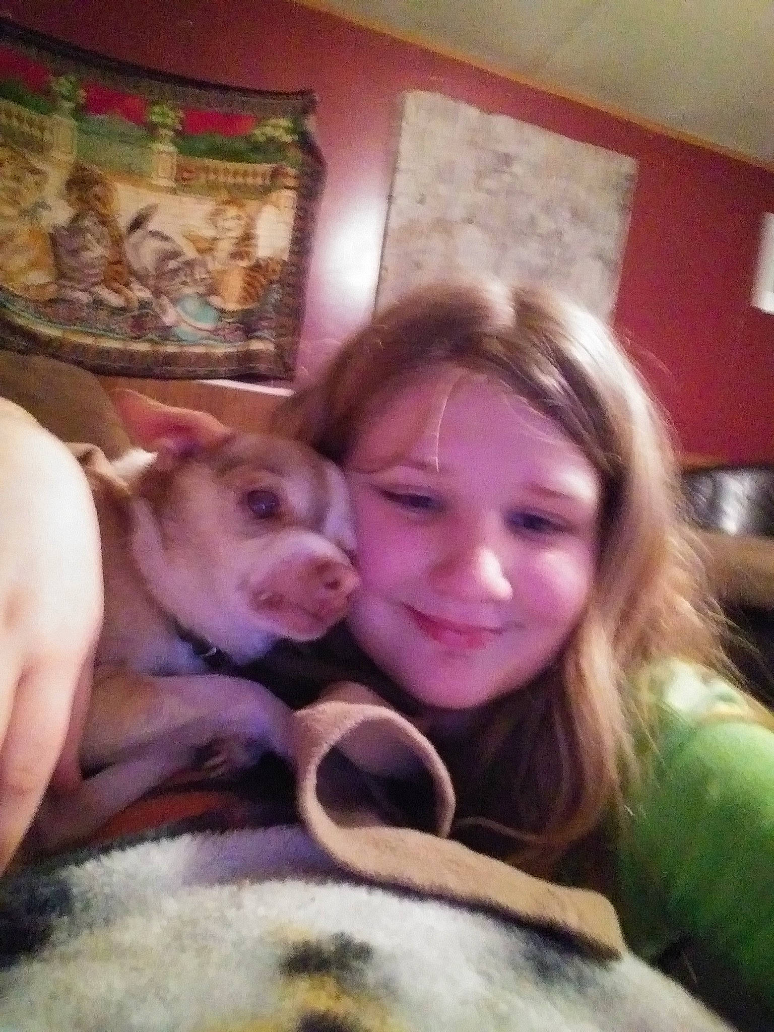 Bruiser Mcguire is registered to the contest to win money with this photo: blond, child, comfort, companion_dog, cool, dog_breed, ear, fawn, friendship, fun, fur, happy, interaction, iris, mouth, picture_frame, room, selfie, smile, t_shirt