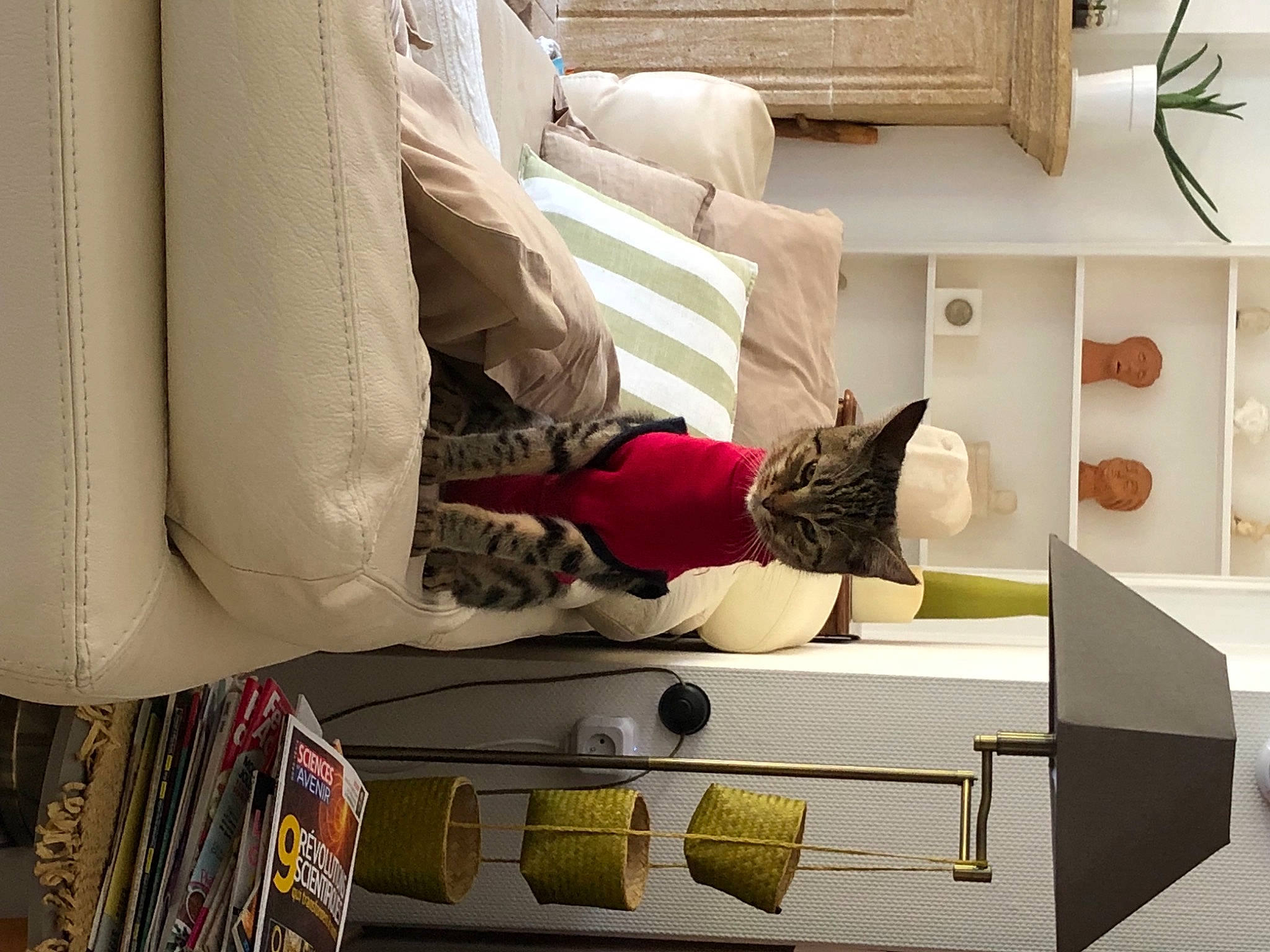 Ouka participe au concours pour gagner de l'argent avec cette photo : beige, coffee_table, comfort, couch, cushion, drawer, floor, flooring, furniture, home, house, interior_design, living_room, nightstand, room, studio_couch, table, textile, wood