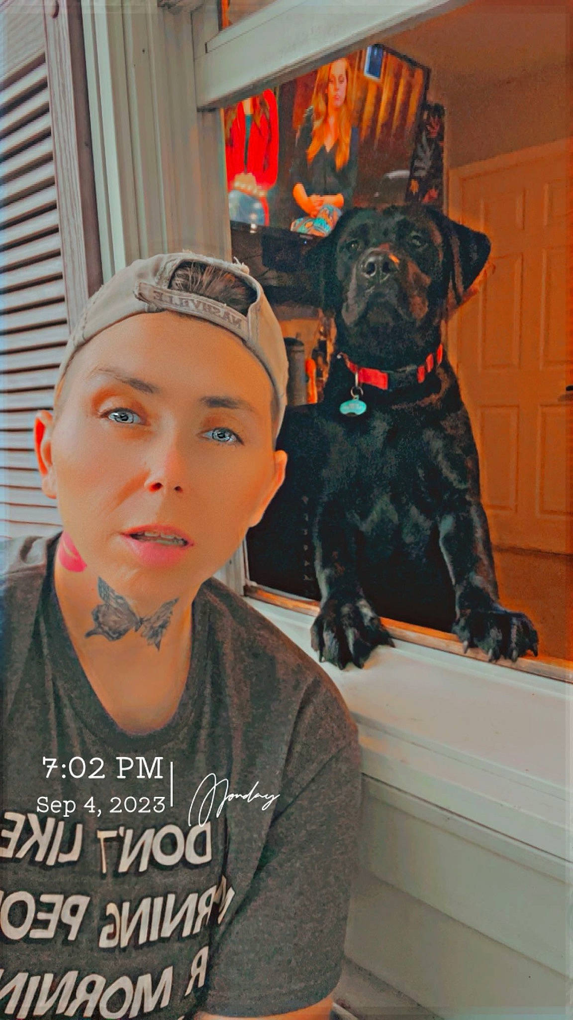 Ryder joined the competition — help win amazing prizes! audio_equipment, canidae, carnivore, companion_dog, dog, dog_breed, door, eyewear, fawn, fun, fur, guard_dog, jewellery, necklace, personal_protective_equipment, snout, sporting_group, t_shirt, toy_dog, working_animal