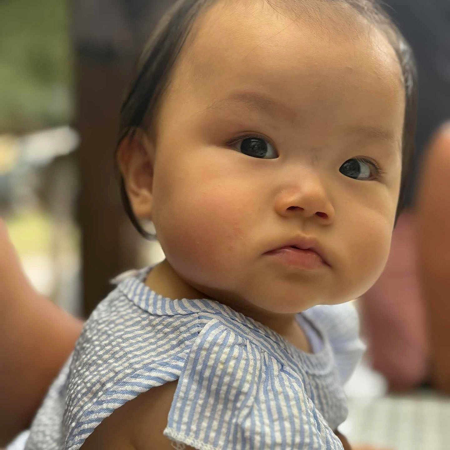 Lynna a rejoint le concours — aidez-le/la à gagner de superbes lots ! baby, blue_striped_clothing, child, closeup, curious, cute, expression, eyes, face, head, infant, natural_light, outdoor, person, portrait, serious, shoulder, skin, soft_focus, young_child