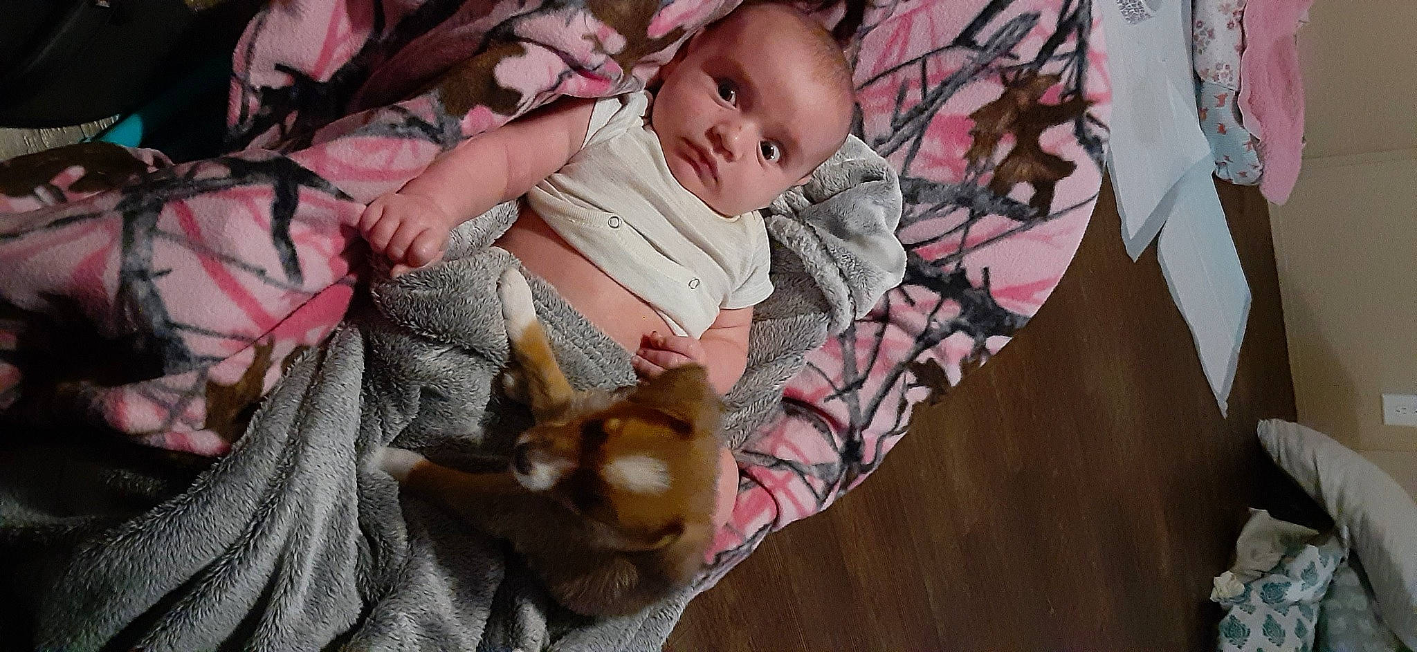 Princess joined the competition — help win amazing prizes! baby, bedtime, canidae, child, ear, fawn, nap, pink