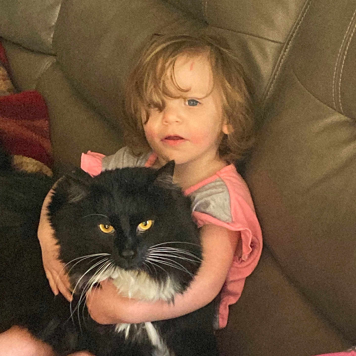 Boots joined the competition — help win amazing prizes! black_cat, casual, cat, child, comfort, couch, cozy, curly_hair, fluffy, furniture, home, hugging, indoor, pet, pink_clothing, portrait, seated, whiskers, yellow_eyes, young_child