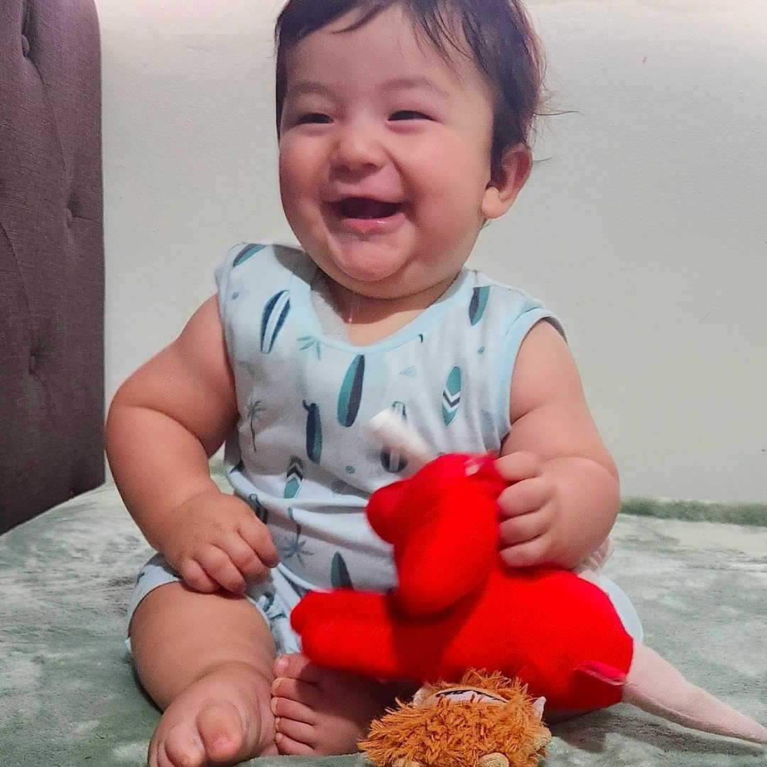 Maximus Anibal is registered to the contest to win money with this photo: baby, blanket, child, clothing, couch, cute, face, happy, home, indoor, infant, lion_toy, person, plush_toy, red_toy, sitting, smiling, soft_texture, stuffed_animal, window_blinds