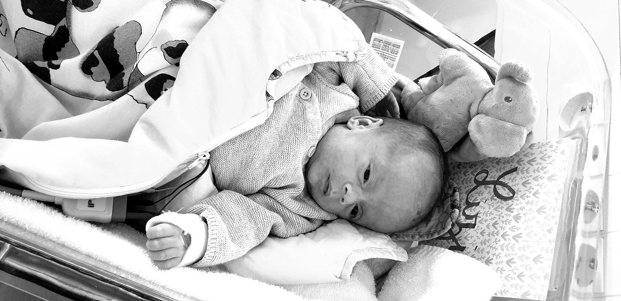 Lizio a rejoint le concours — aidez-le/la à gagner de superbes lots ! baby, bedtime, birth, black_and_white, child, childbirth, monochrome, person, photography, toddler