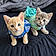 Stormi And Cheeto