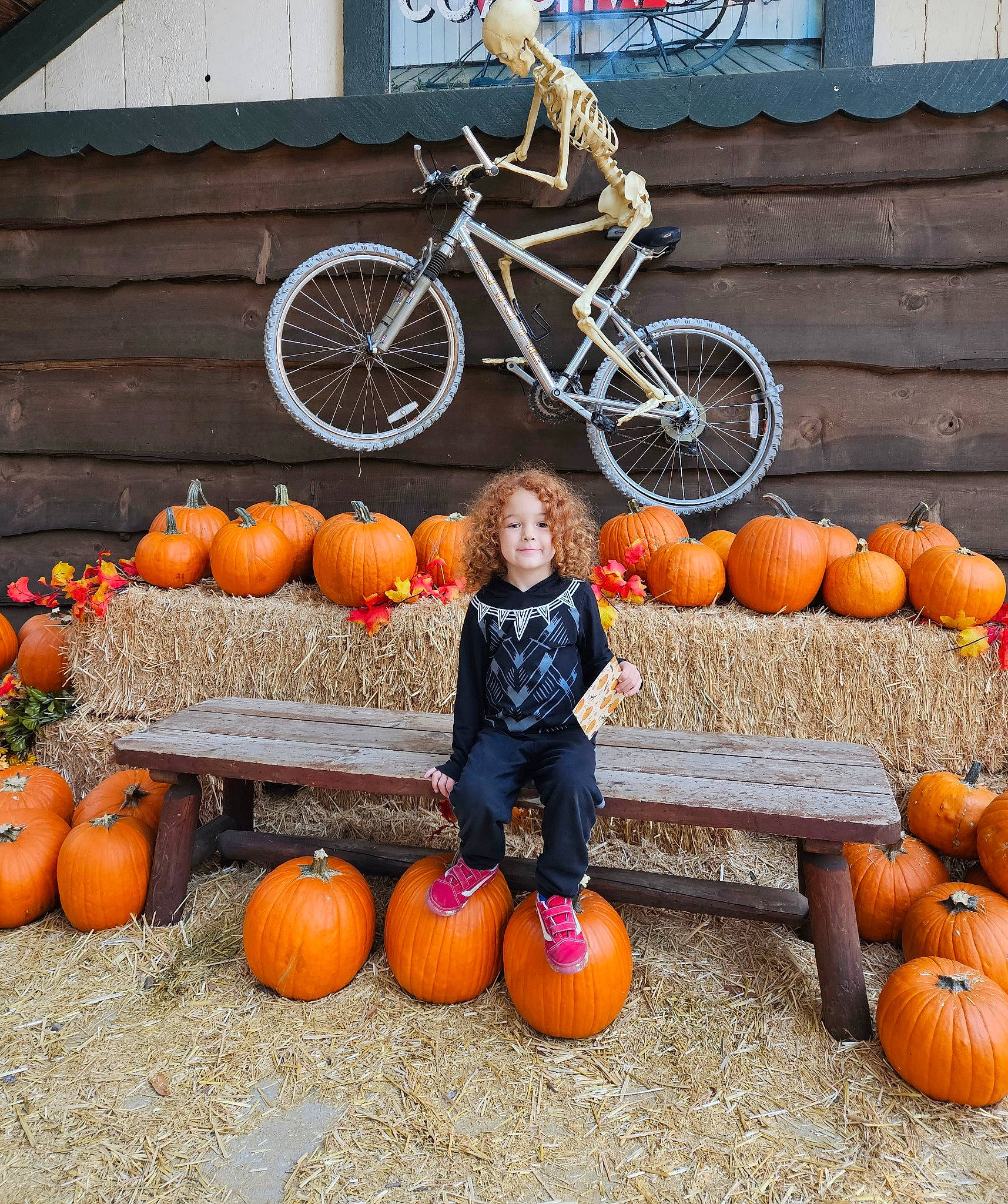 Bryson is registered to the contest to win money with this photo: bicycle, bicycle_fork, bicycle_frame, bicycle_tire, bicycle_wheel, bicycles_equipment_and_supplies, calabaza, cucurbita, gourd, joy, natural_foods, orange, people, person, photograph, plant, pumpkin, squash, tire, wheel