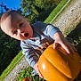 baby, child, pumpkin, outdoor, grass, gravel, blue_sky, sunlight, nature, greenery, curious, hand, face, autumn, season, daylight, person, young_child, holding, playful