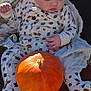 autumn, baby, bench, blanket, child, curious, cute, daytime, fall, leaf_pattern, nature, orange, outdoor, pajamas, person, portrait, pumpkin, seasonal, sunlight, wood