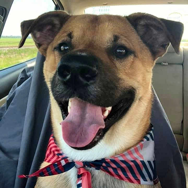 Ruger