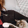 cat, sleeping, pet, animal, white_fur, tabby, whiskers, closed_eyes, paw, cuddling, lap, person, black_clothing, necklace, bed, pillow, checkered_blanket, indoors, cozy, portrait