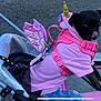 dog, black_dog, small_dog, unicorn_costume, pink_clothing, wings, golden_horn, stroller, leash, sidewalk, curious, pet, animal, outdoor, costume, cute, tongue_out, walking, mesh, street