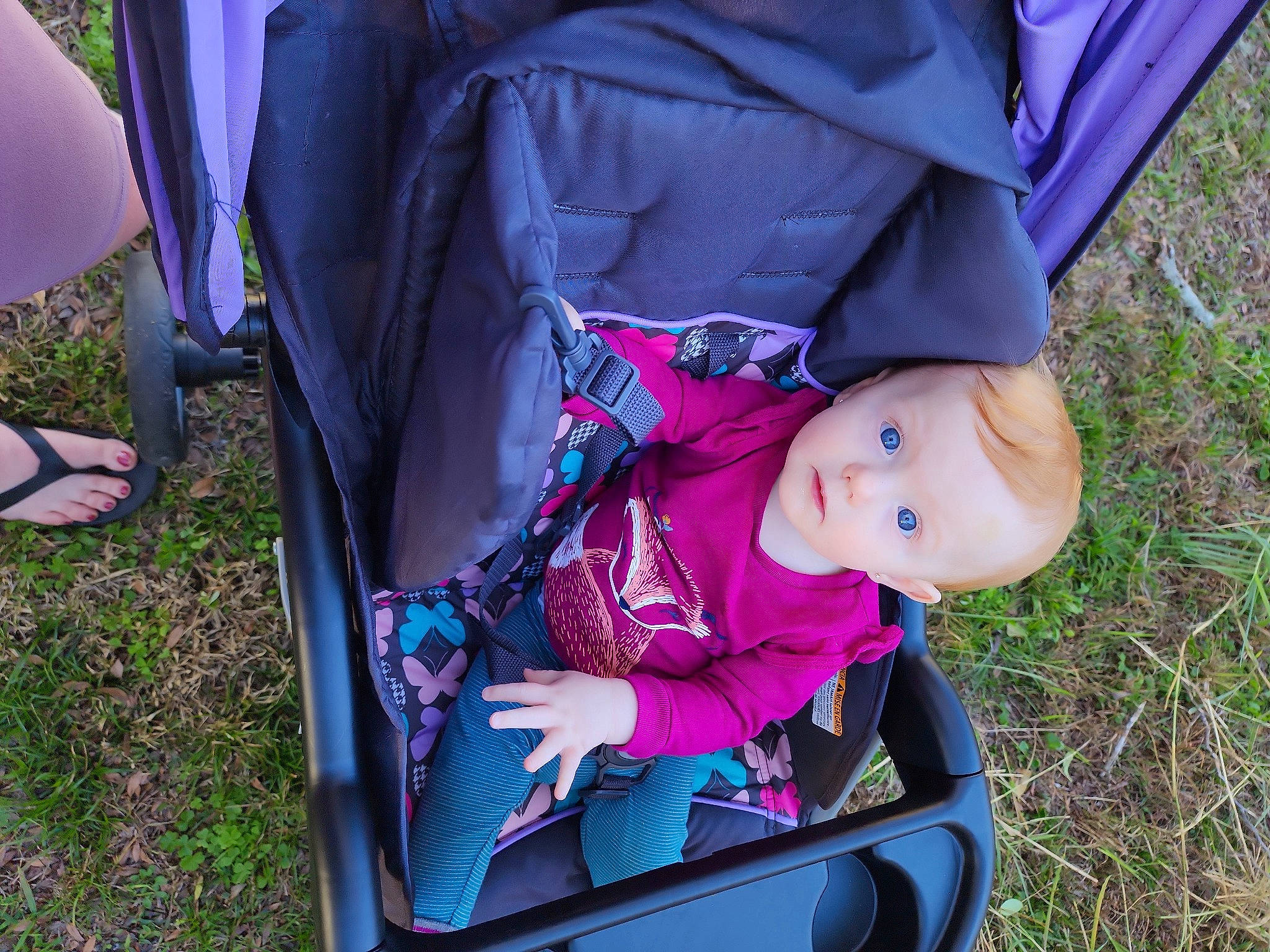 Novaleigh is registered to the contest to win money with this photo: baby, baby_carriage, baby_products, chair, child, electric_blue, fun, grass, leaf, leisure, magenta, person, pink, plant, purple, recreation, sitting, toddler, tree, vacation