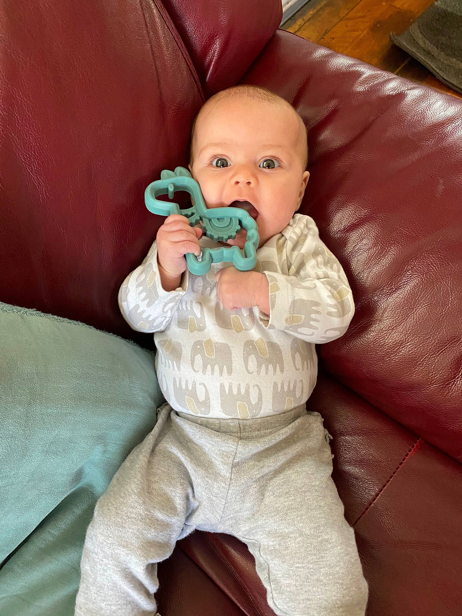 Mitzi is registered to the contest to win money with this photo: baby, child, person, skin, toddler