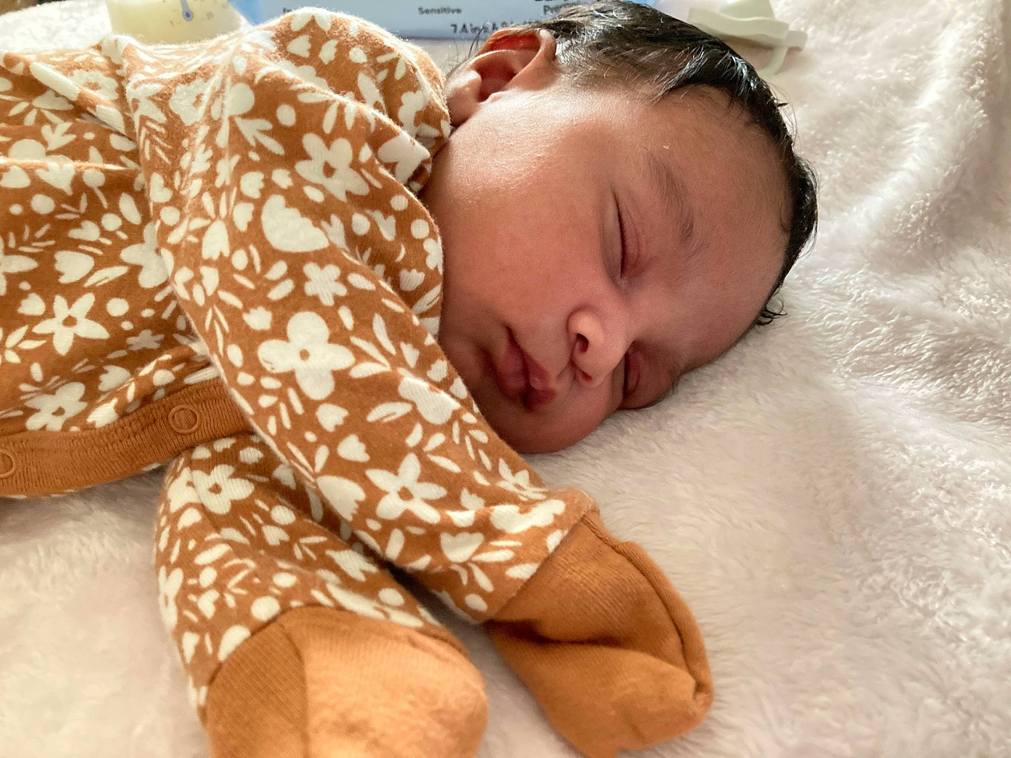 Sitana is registered to the contest to win money with this photo: abdomen, baby_sleeping, bed_sheet, bedding, bedtime, chest, child, comfort, flesh, flooring, fur, happy, human_leg, linens, nap, pattern, person, portrait_photography, sleep, thigh