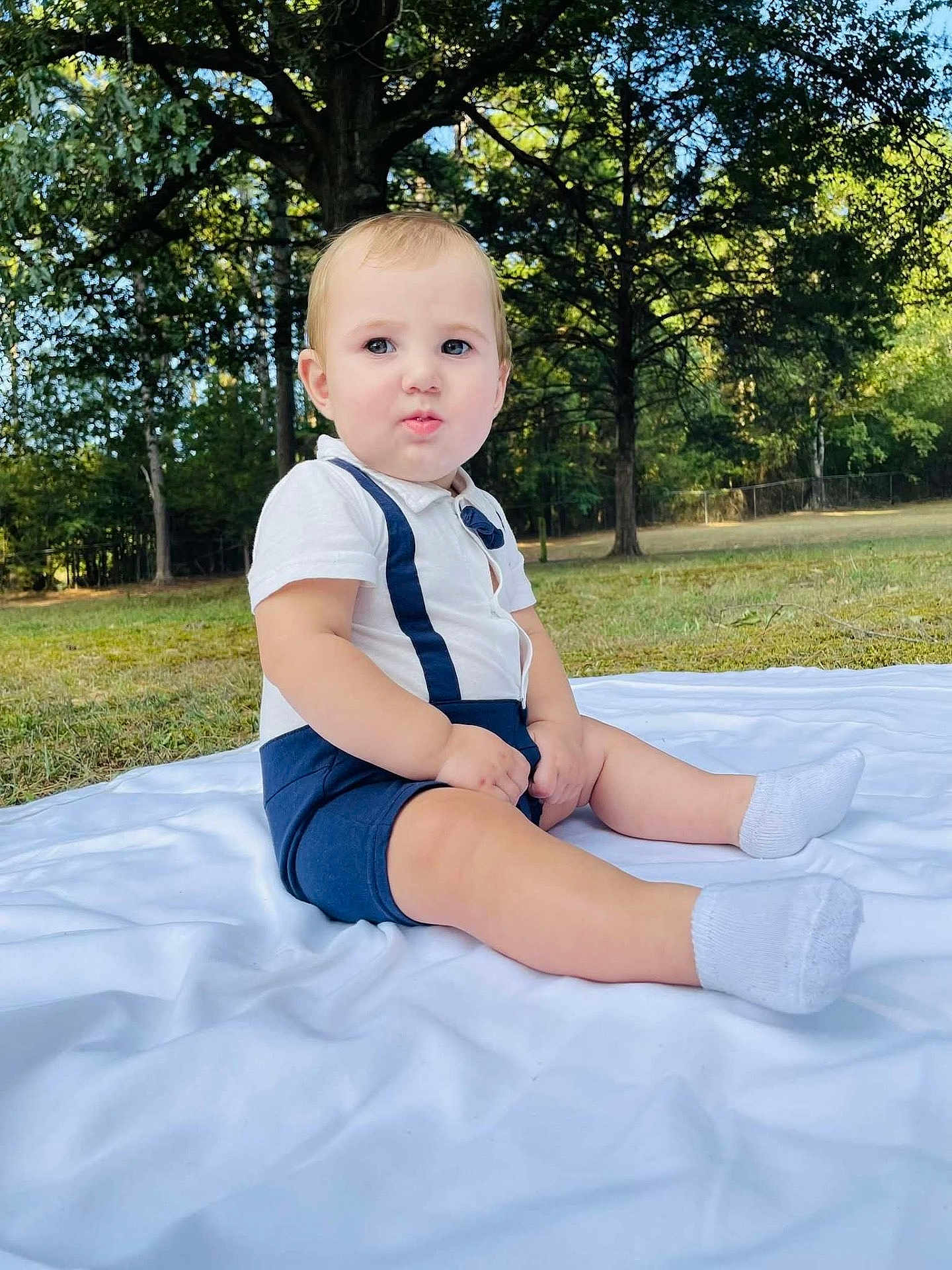 Elvis joined the competition — help win amazing prizes! toddler, child, baby, outdoor, park, grass, tree, blanket, white_blanket, clothing, socks, nature, greenery, sunlight, portrait, cute, sitting, summer, young_child, casual
