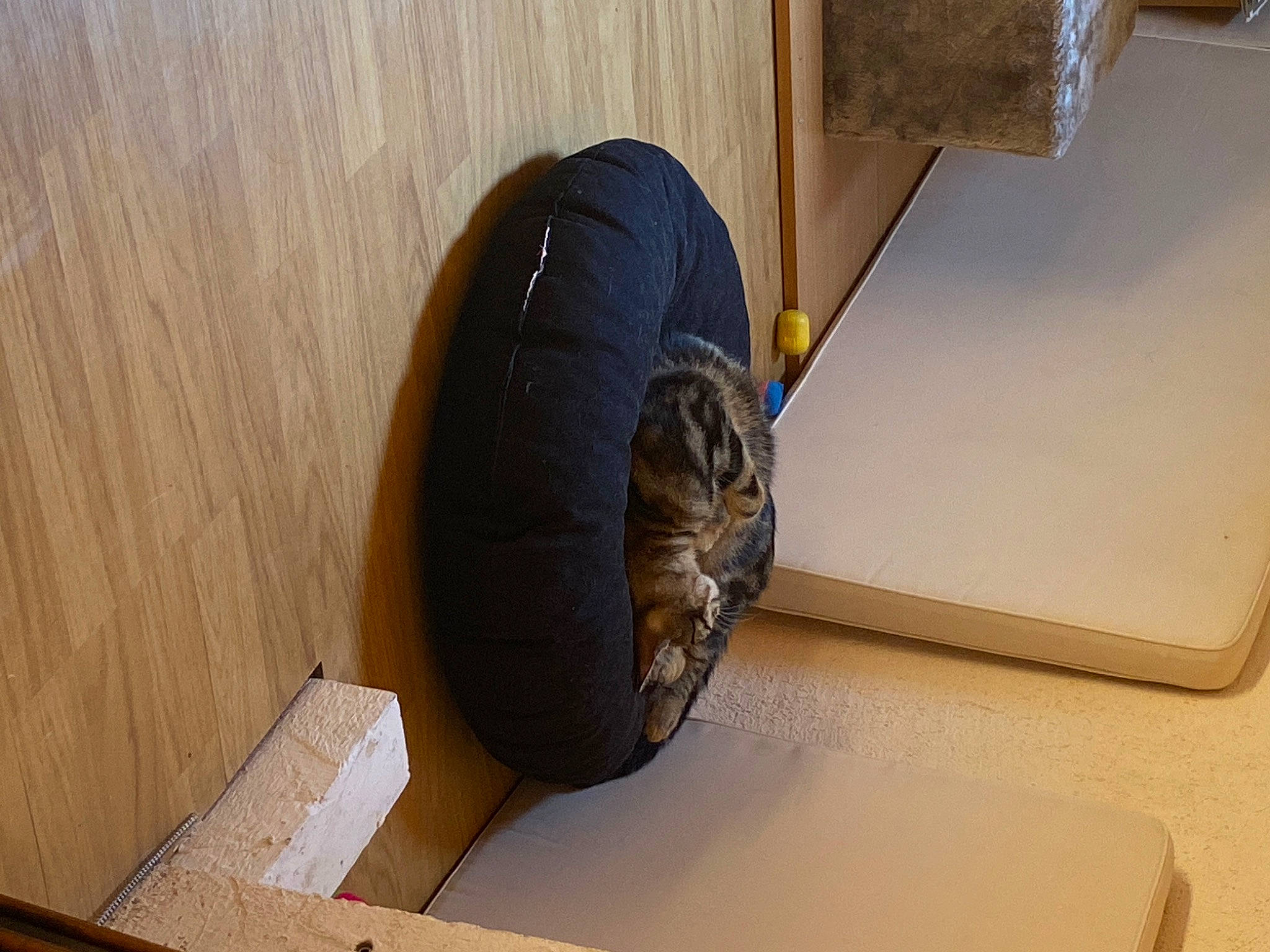 Tekila participe au concours pour gagner de l'argent avec cette photo : automotive_wheel_system, wheel, wood