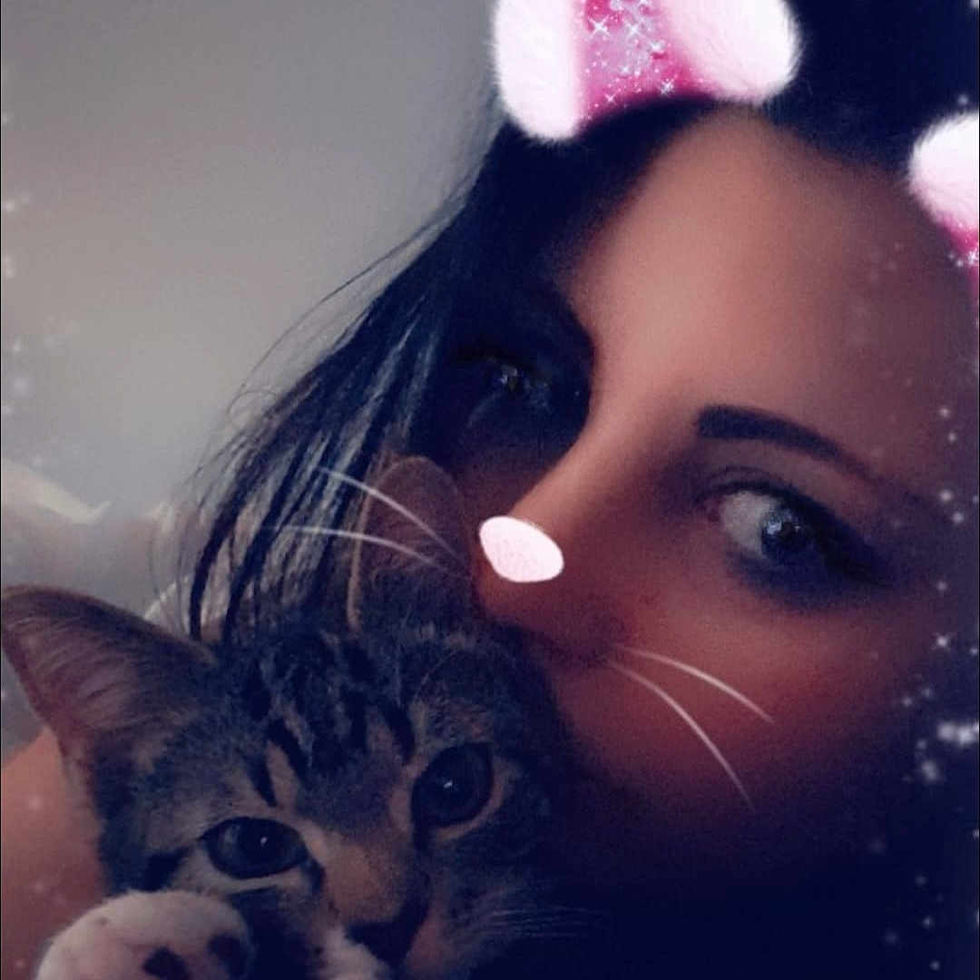 Jayjay is registered to the contest to win money with this photo: beauty, cat, cheek, ear, eye, eyebrow, face, felidae, forehead, hair, head, lip, nose, organ, person, photography, selfie, skin, sky, small_to_medium_sized_cats