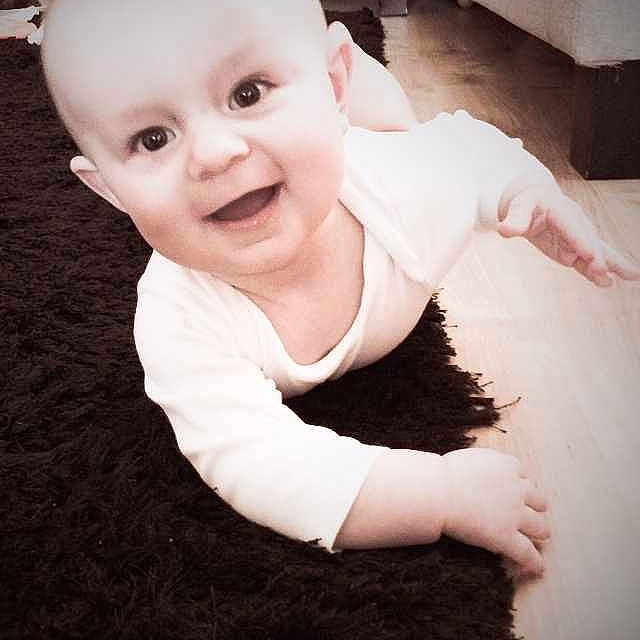 Teddy is registered to the contest to win money with this photo: