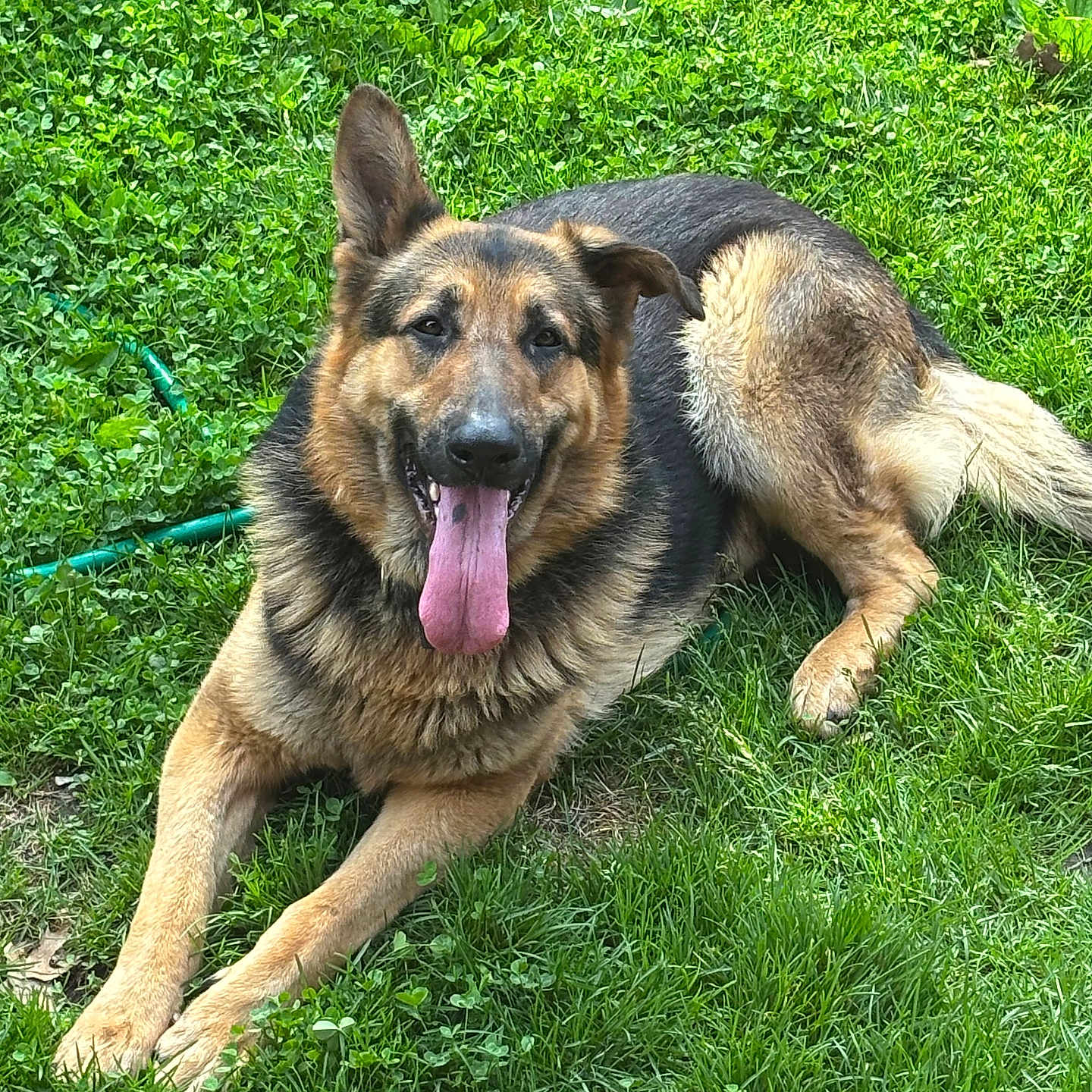 Gunner