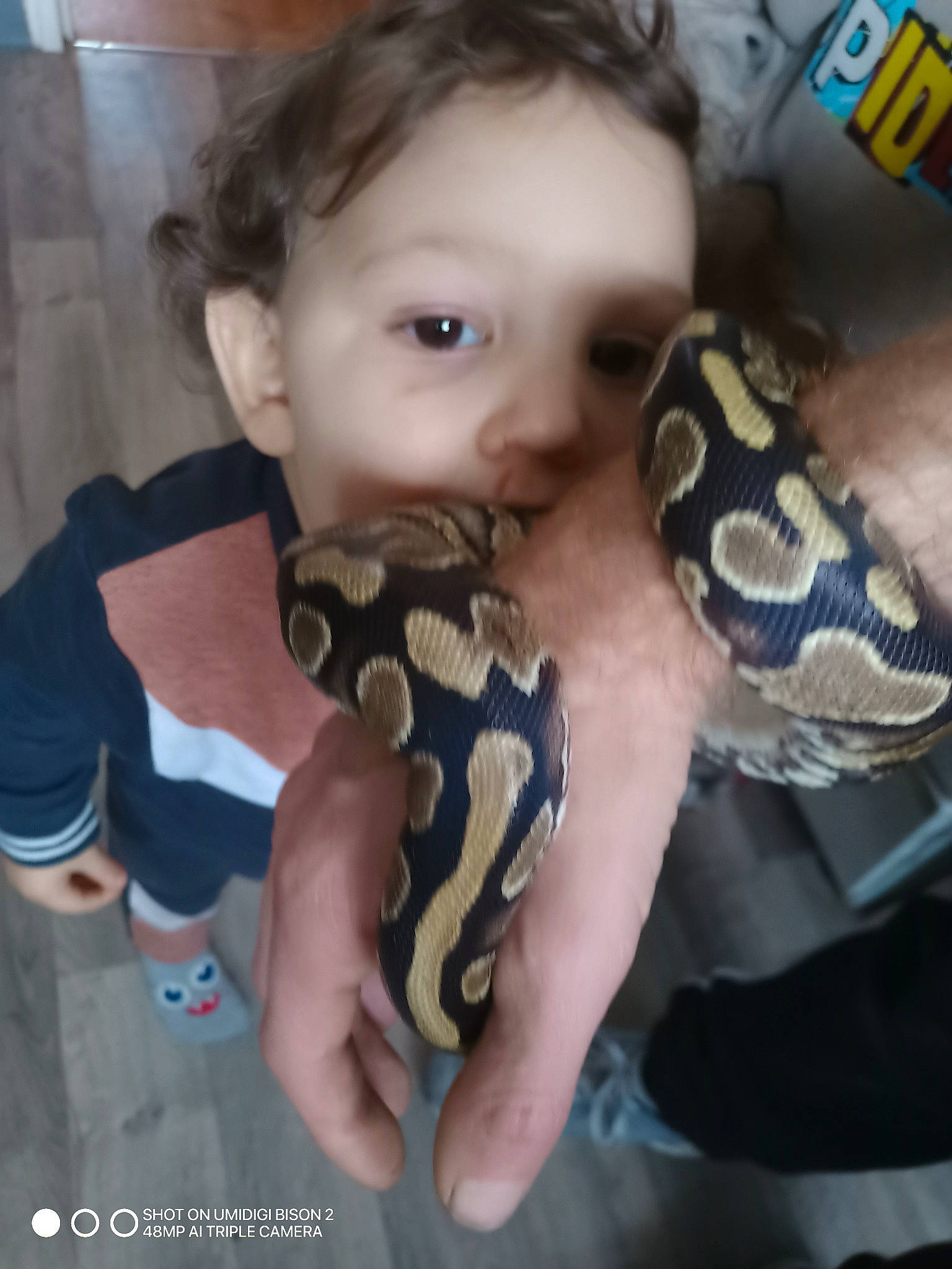 Emiliano a rejoint le concours — aidez-le/la à gagner de superbes lots ! amphibian, child, fashion_accessory, finger, happy, head, nail, pattern, person, reptile, stuffed_toy, thumb, toddler, toy, vertebrate, visual_arts