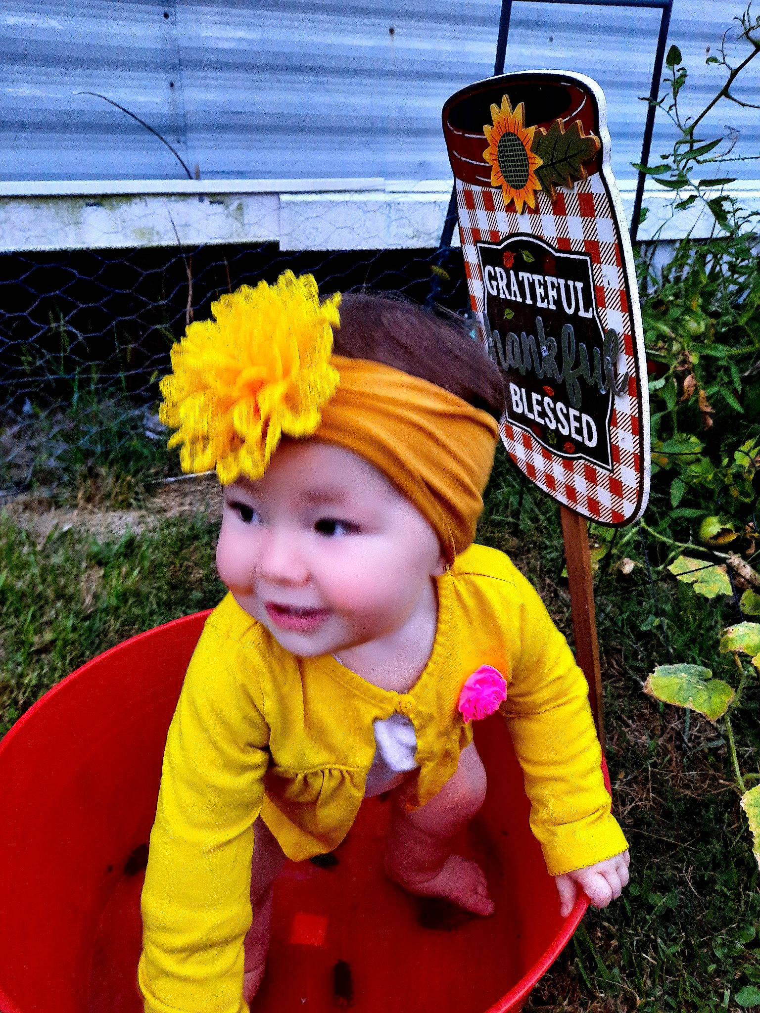 Evahlin joined the competition — help win amazing prizes! child, costume, flower, headgear, headwear, outerwear, person, plant, toddler, tree, vacation, yellow