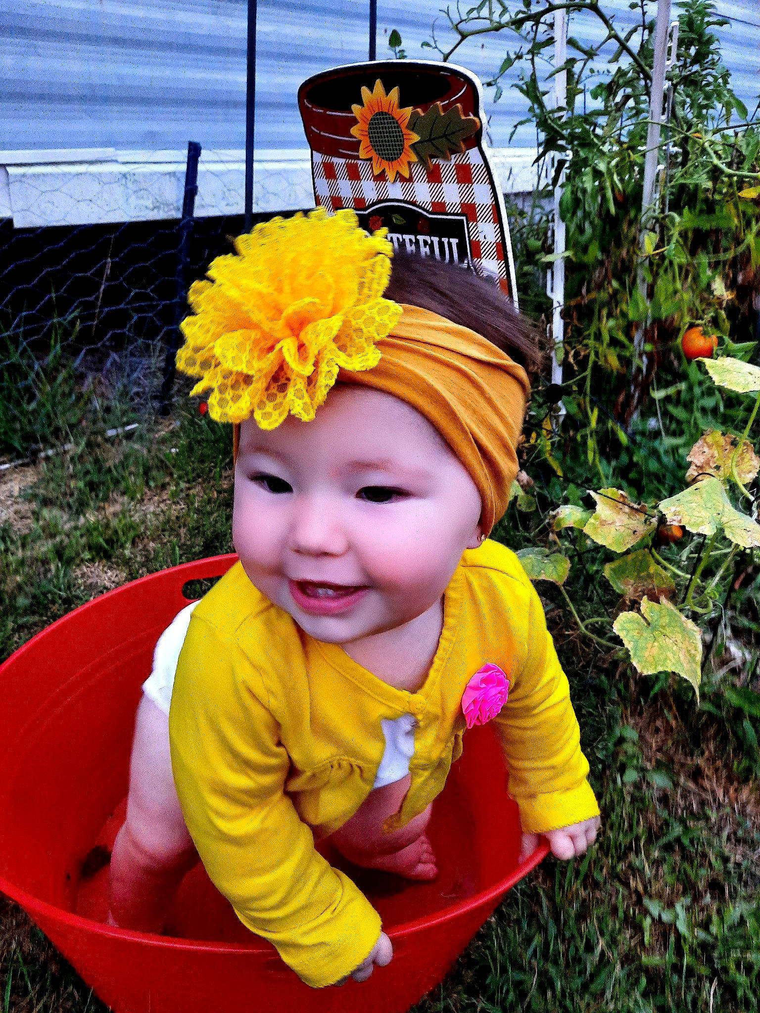 Evahlin joined the competition — help win amazing prizes! baby, baby_products, child, costume, fashion_accessory, flower, grass, headband, headgear, headwear, joy, person, photography, plant, toddler, vacation, yellow
