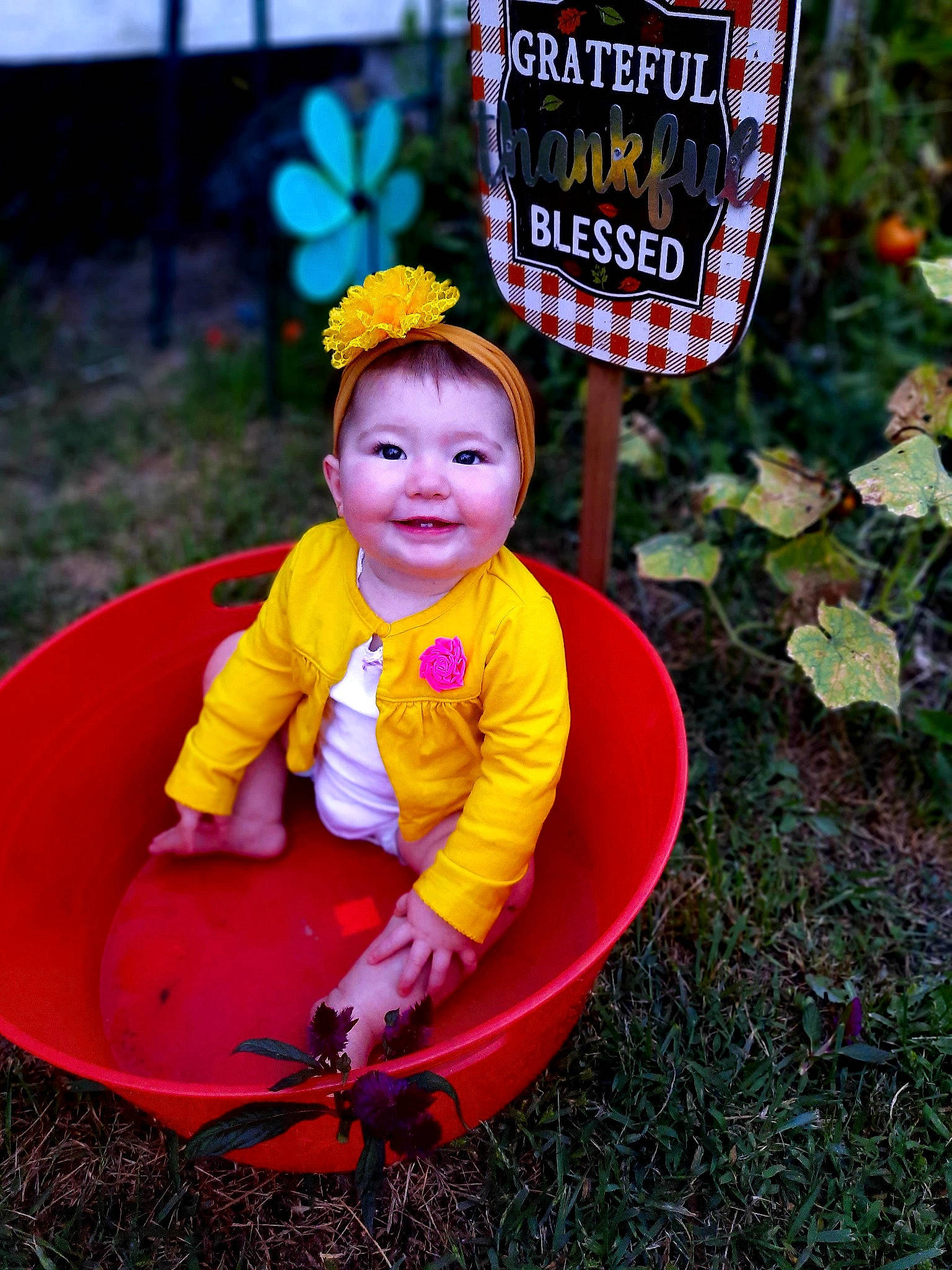Evahlin is registered to the contest to win money with this photo: backyard, child, fun, happy, joy, outerwear, person, plant, play, recreation, red, sitting, smile, toddler, vacation, vehicle, yellow