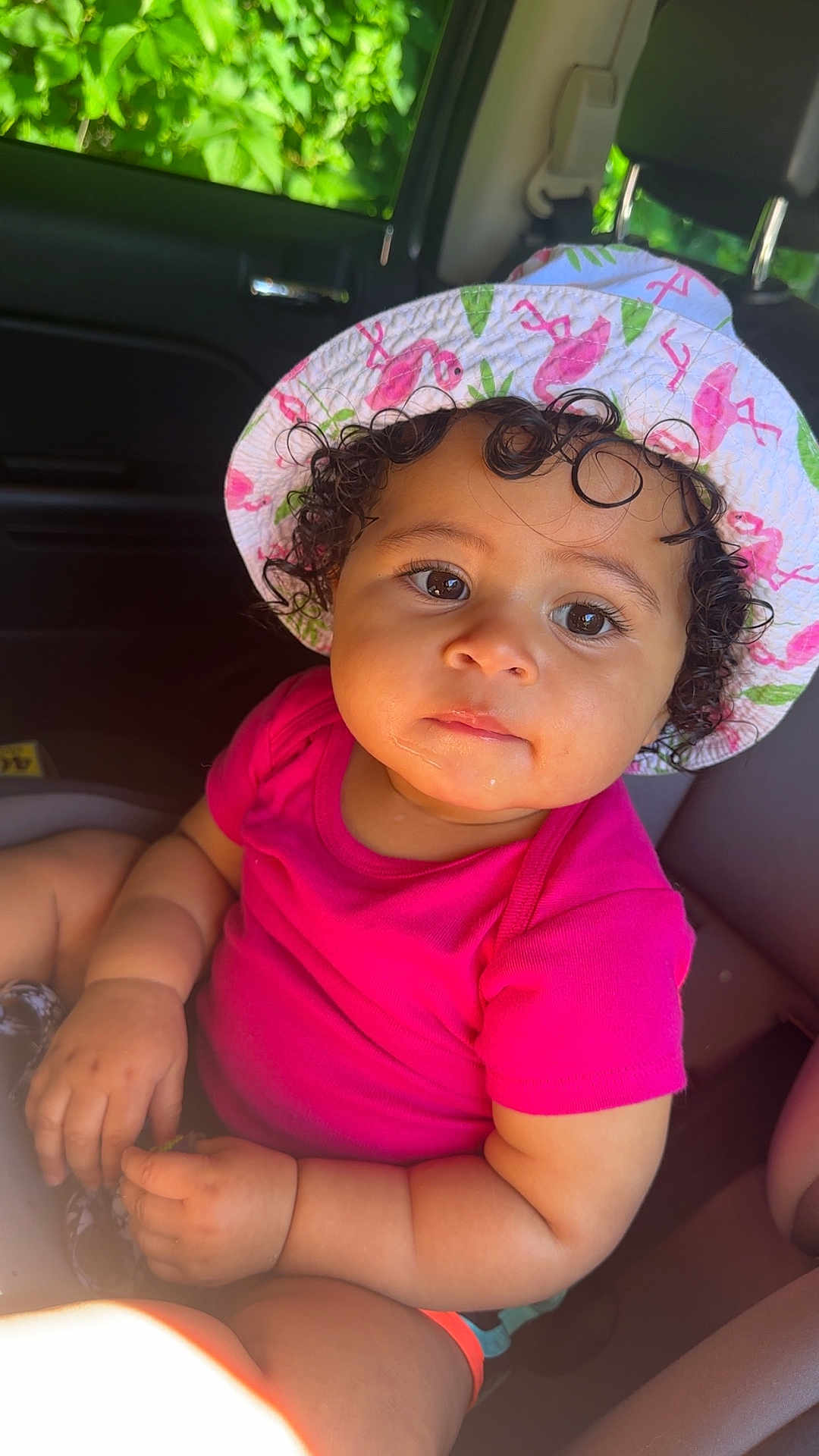 Harlo joined the competition — help win amazing prizes! toddler, child, baby, hat, flamingo, pink_shirt, curly_hair, car_seat, car_interior, window, greenery, sunlight, portrait, cute, young_child, person, indoors, summer, casual_clothing, closeup