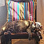 cat, tabby, sleeping, chair, wooden_chair, cushion, striped_cushion, indoor, sunlight, relaxation, pet, feline, fur, cozy, home, resting, paw, window_light, domestic_animal, animal