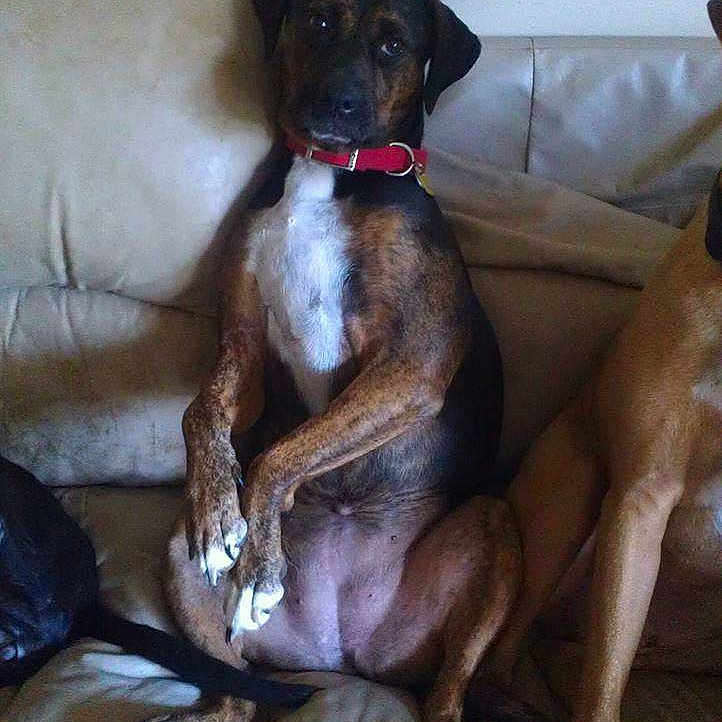 Sophie