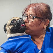 Sparkie joined the competition — help win amazing prizes! woman, dog, pug, blue_shirt, glasses, kiss, indoor, affection, pet, tongue_out, close_up, holding, human, casual_clothing, short_hair, earrings, necklace, window_blinds, skin_tone, love